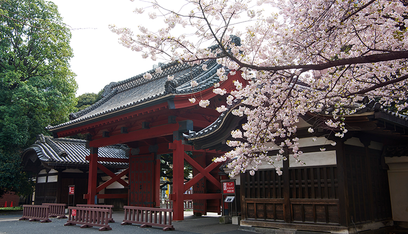出國留學 日本留學
